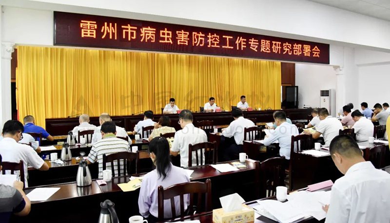 雷州研究部署病虫害防控工作