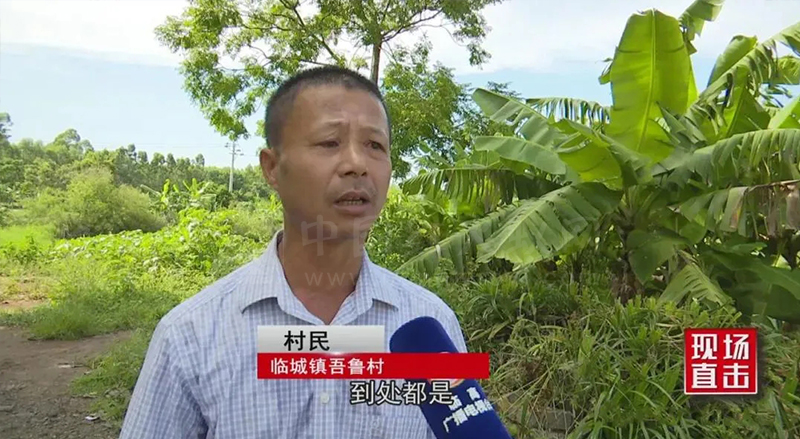 临高县：“狙击”红火蚁