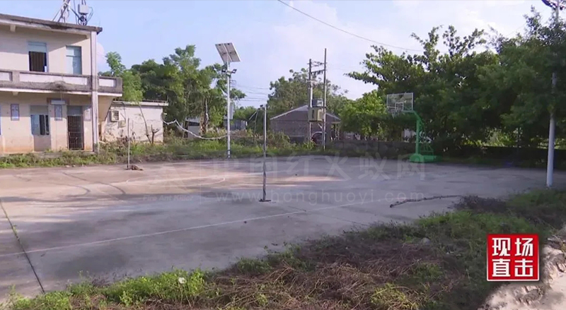 临高县：“狙击”红火蚁