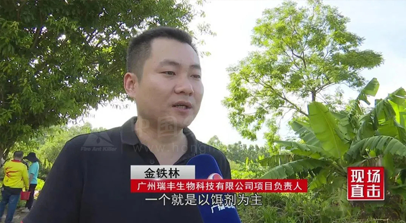 临高县：“狙击”红火蚁