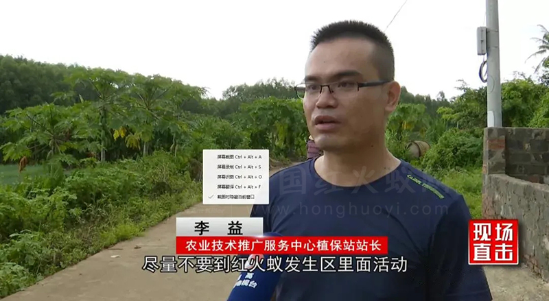 临高县：“狙击”红火蚁