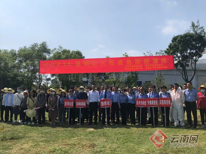 云南省：红火蚁从何而来？这场专业的联动宣传活动告诉你！