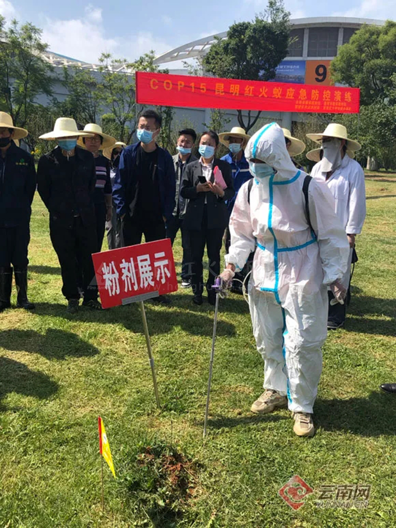 云南省：红火蚁从何而来？这场专业的联动宣传活动告诉你！