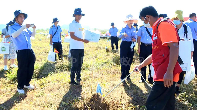 红火蚁危险!!云南省专家在丘北支招如何防控