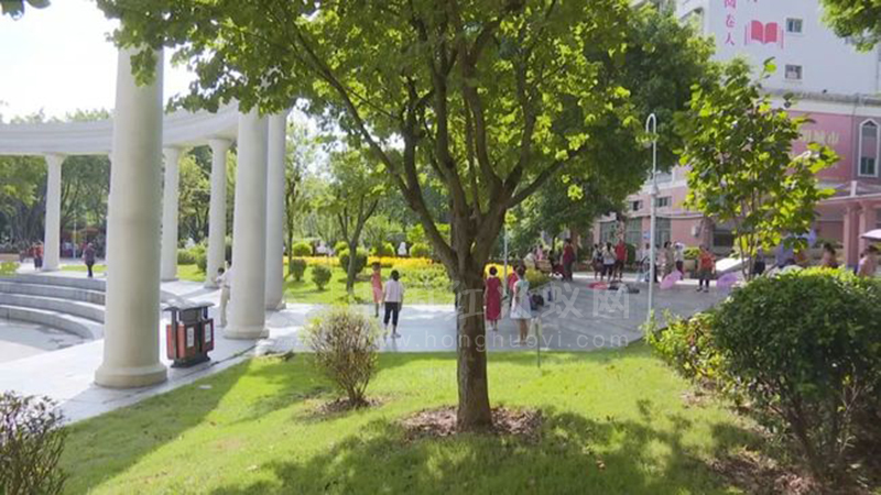 注意！被它咬伤可能要送医，逛潘塘公园的市民要小心！