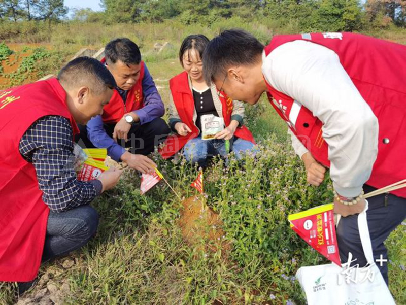 下降逾千亩｜连州龙坪全力防控红火蚁