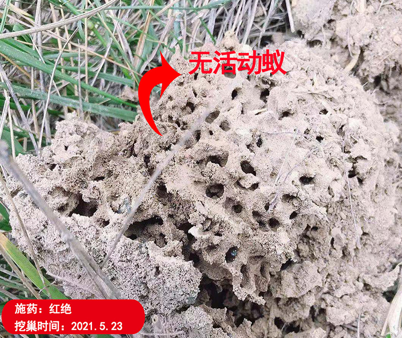 红绝红火蚁防控专用药剂