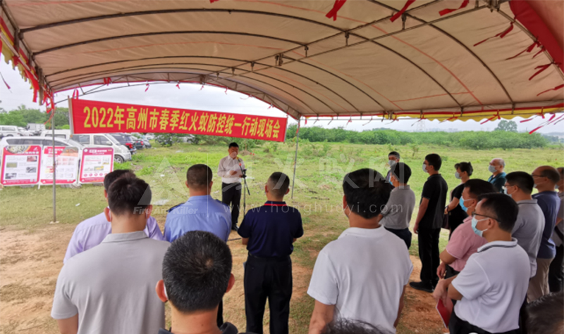 高州27个镇发生红火蚁疫情，5万多亩面积受影响