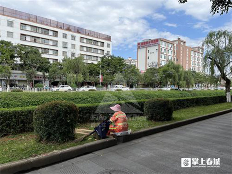 提醒！红火蚁“扎堆”官南大道绿化带户外活动谨防蛰伤