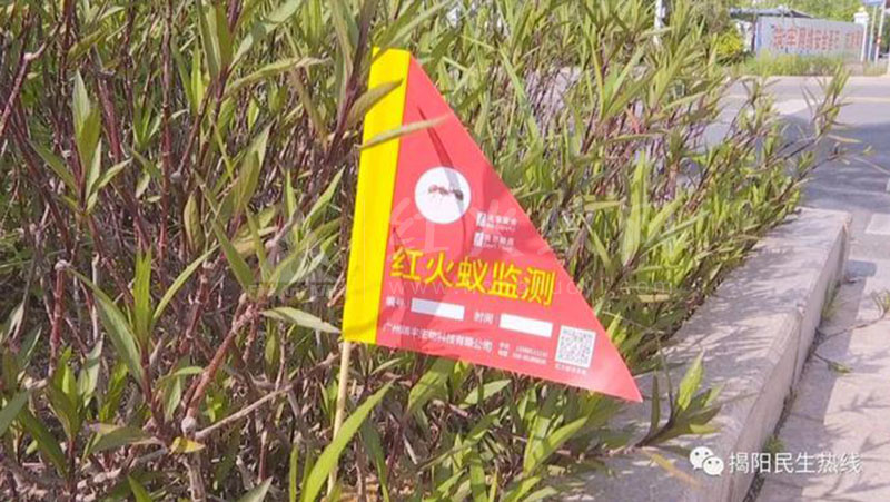 注意！揭阳市区这里发现红火蚁的巢穴，相关部门迅速消杀