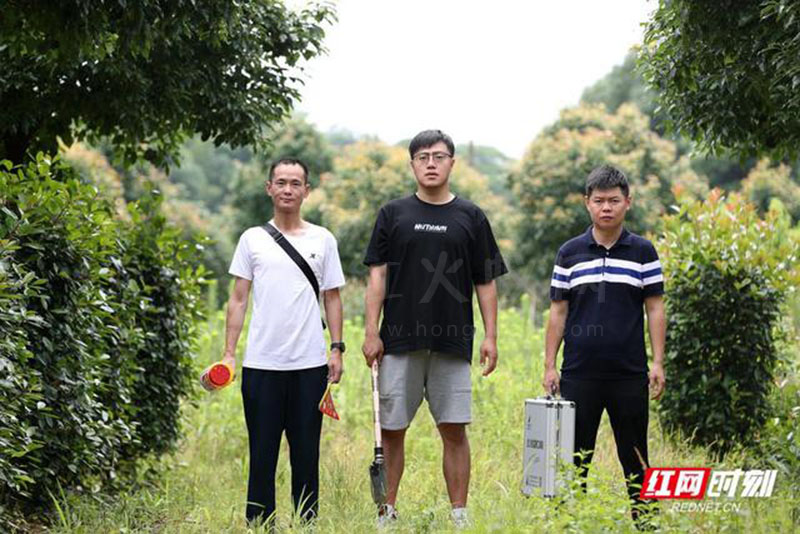 组图丨超危险红火蚁高清大特写,看到它最好离远点